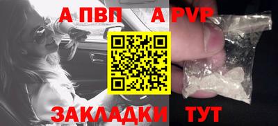 гашик Тара